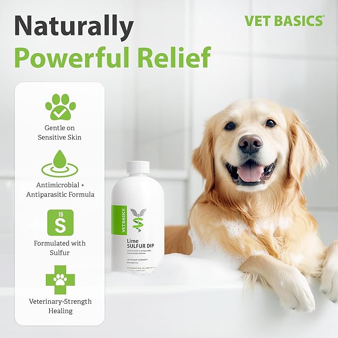 Vet Basics Lime Sulfur Dip – Skin Itch Relief Concentrated Antimicrobial & Antiparasitic Solution for Dogs, Cats, Puppies, Kittens & Horses, Helps Manage Ringworm, Mange, Skin Irritation, 1 Gallon