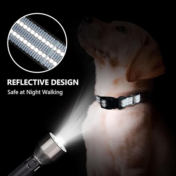 Martingale Dog Collar, Adjustable Nylon Reflective Collar with Quick Release Buckle (Ice Blue, Large)