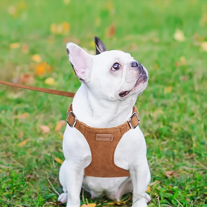 Dog Harness and Leash Set, XXS No Pull Adjustable Puppy Harness with Multifunction Pink Dog Leash and Dog Collar, Soft No Choke Escape Proof Pet Harness Vest for Small Dogs and Cats (Brown, S)