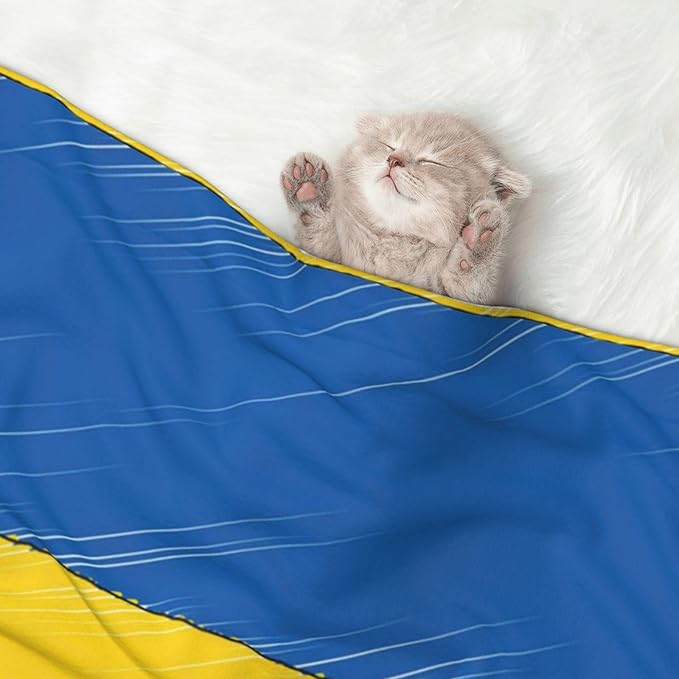 Double Sided Plush Pet Blanket with Cozy Dot Texture and Smooth Reverse, Abstract Ukraine Flag, Reversible Throw for Dogs Cats on Couches Beds Crates