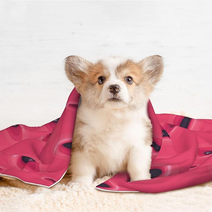 Double Sided Plush Pet Blanket with Cozy Dot Texture and Smooth Reverse, Pink Watermelon, Reversible Throw for Dogs Cats on Couches Beds Crates