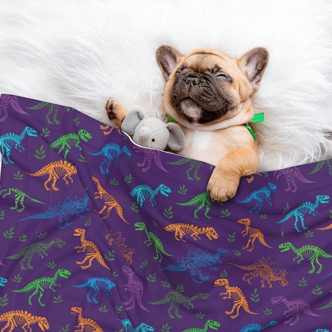 Reversible Plush Dot Pet Blanket for Dogs and Cats, Cool Dinosaur Purple, Ultra Soft Two Sided Design with Warm Fuzzy Side and Smooth Side for Comfort