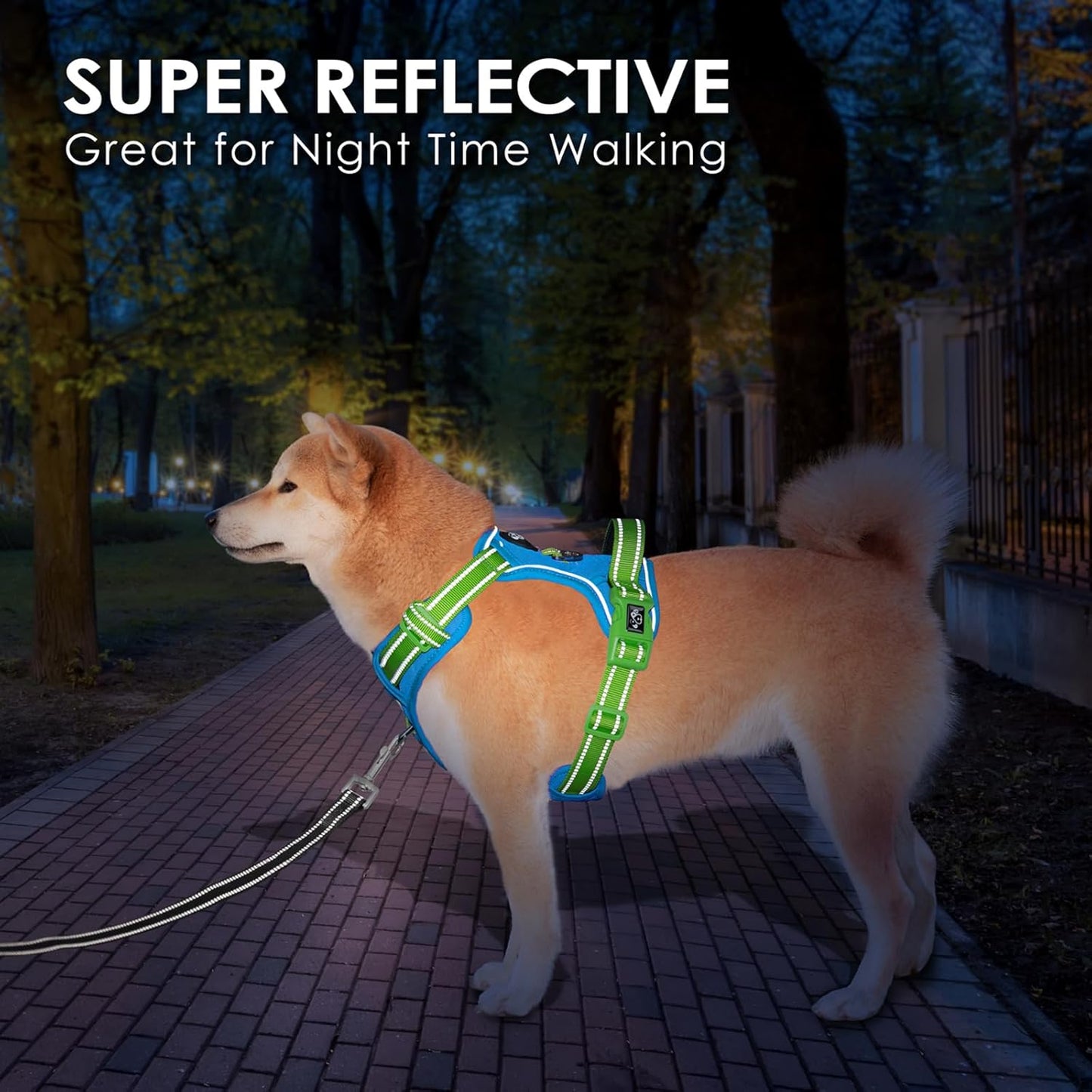 PHOEPET No Pull Dog Harness, Unique Colors Reflective Adjustable Dog Vest, with Soft Training Handle Metal Clips for Small Medium Large Dogs (Blue Base & Green Straps,L)
