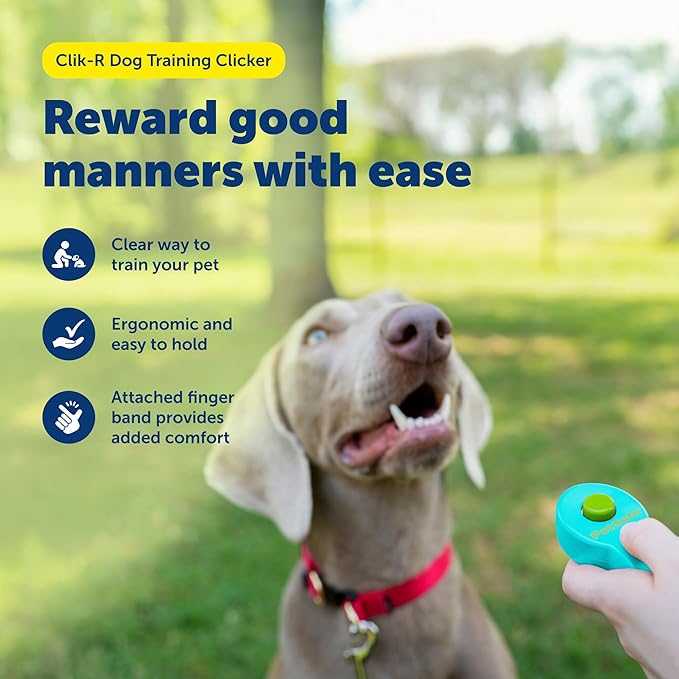PetSafe Clik-R Training Tool - Positive Behavior Reinforcement - Ergonomic Design - Compact Finger Band - Daily Training Accessory - Clicker for Dogs & Cats - Teal