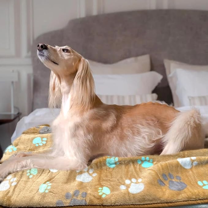 Dog Blankets for Medium Large Dogs Washable, 3 Pack Pet Blanket Washable 41" x 31", Fuzzy Soft Puppy Throw Cover for Kennel Crate Bed