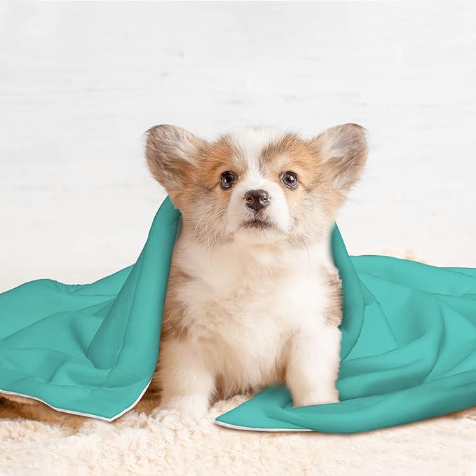Waterproof Dog Blanket Soft Pet Blanket for Puppy Cat, Fleece Cat Throw Blankets for Furniture Bed Couch Sofa Reversible - Teal Turquoise 1