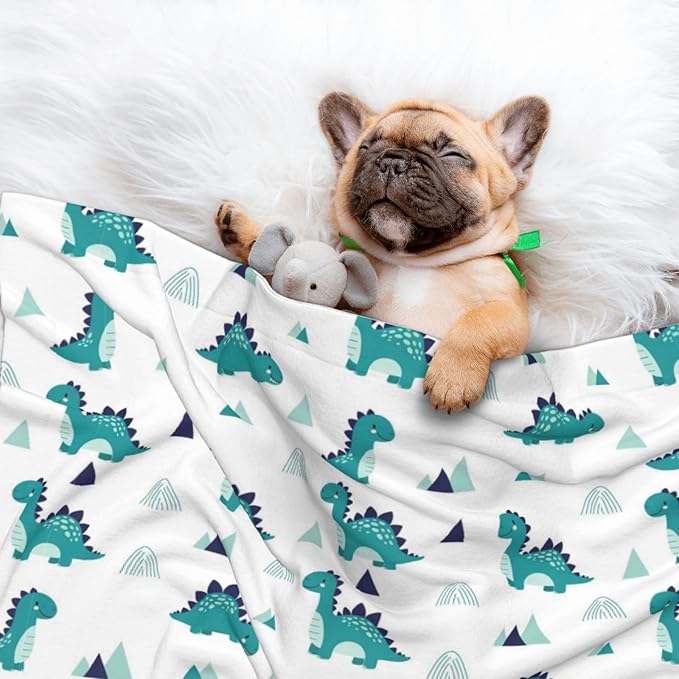 Reversible Plush Dot Pet Blanket for Dogs and Cats, Funny Dinosaur Green, Ultra Soft Two Sided Design with Warm Fuzzy Side and Smooth Side for Comfort