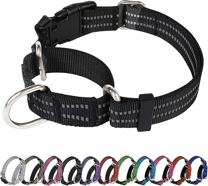 Martingale Dog Collar, Adjustable Nylon Reflective Collar with Quick Release Buckle (Black, Extra Large)