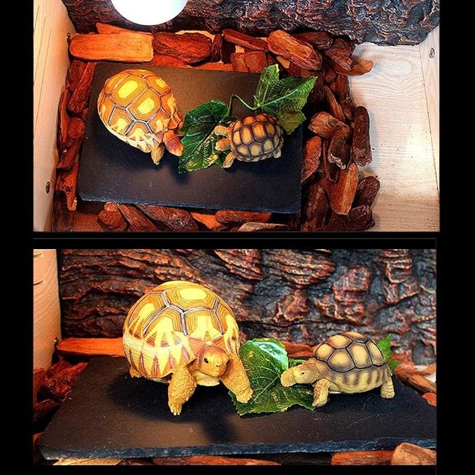 kathson 2 pcs Reptile Basking Platform Tortoise Rock Plate Turtle Bathing Area Feeding Food Dish Resting Terrace（7.9x11.8inch）