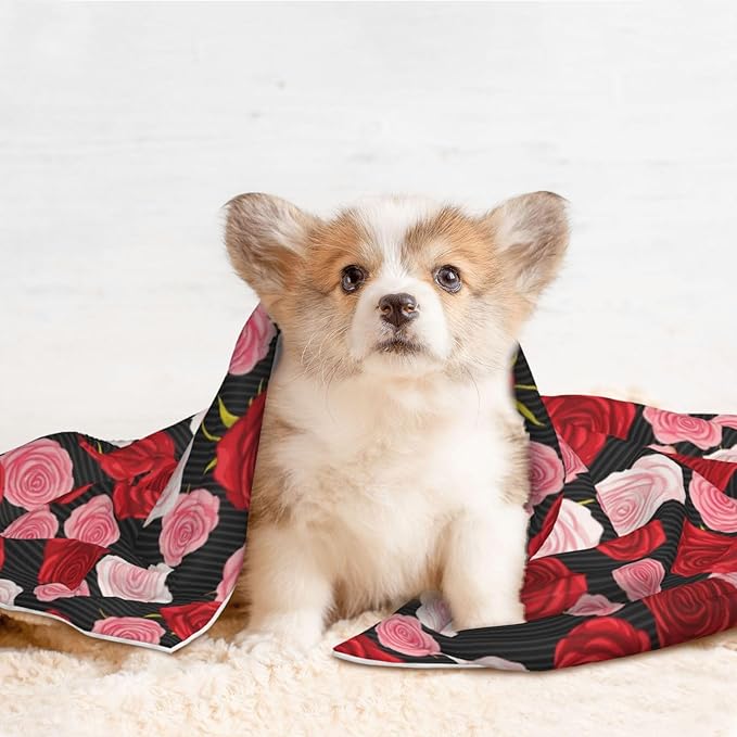 Two Sided Plush Pet Blanket for Warmth Comfort, Black White Stripes Red Rose Flowers, Reversible Throw with Cozy Nubby Side for Chilly Nights Napping Spots Around House