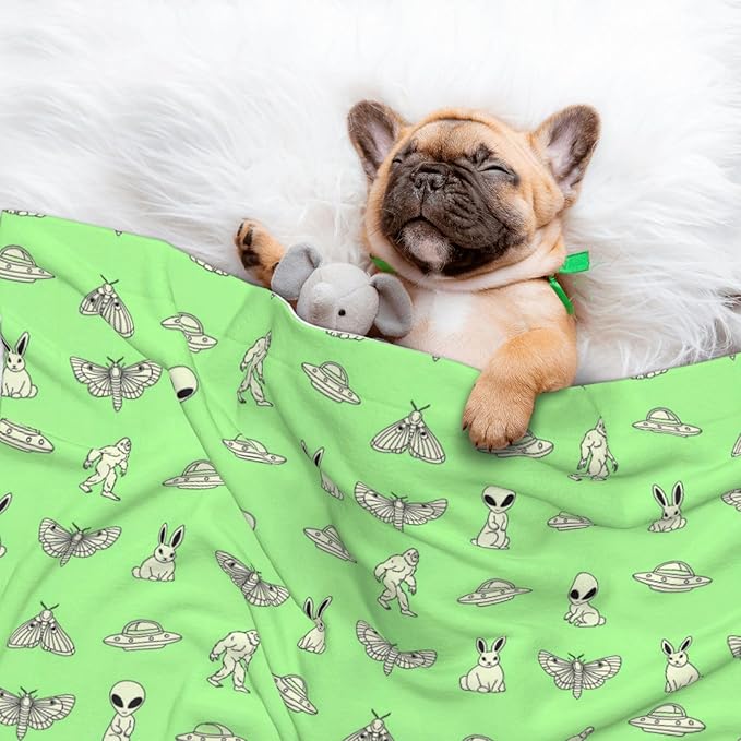 Two Sided Plush Pet Blanket for Crates Carriers Home Use, Aliens Sasquatch Savage Dinosaurs Green, Reversible Throw with Cozy Dot Fabric and Silky Reverse for Small Large Pets