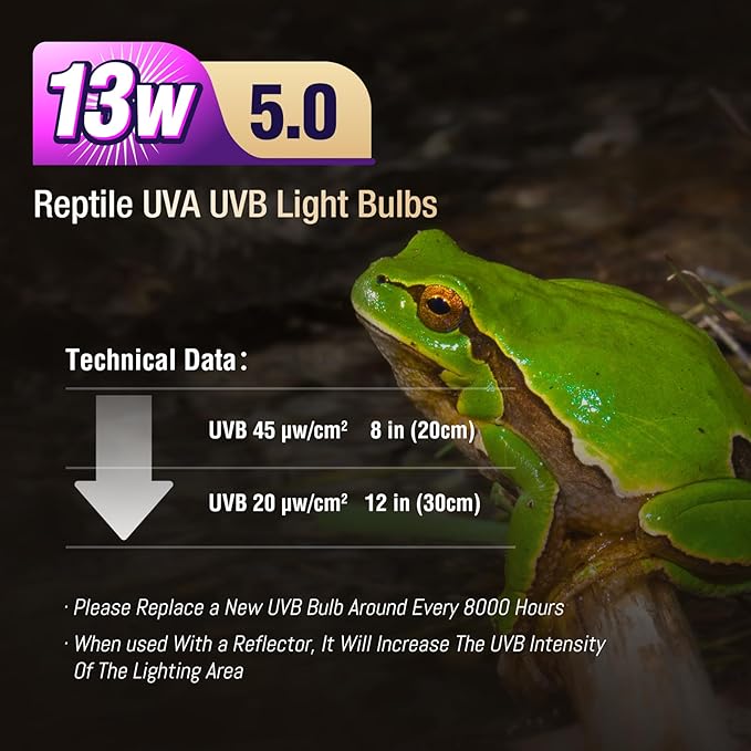 Leoterra Reptile UVB Light Bulb UVA UVB Reptile Lamp - 13W 5.0 Energy Efficient UVB Lamp for Geckos,Green Iguanas,Frog - E26 Base Dual Lighting Fixture with 8000H Long Lifespan