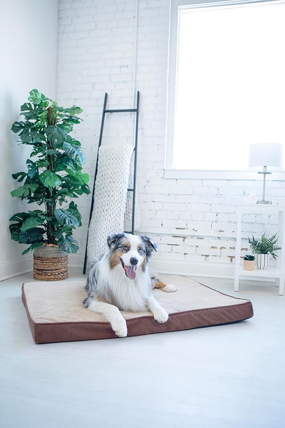 Petmate La-Z-Boy Bentley Orthopedic Foam X-Large Dog Bed Sephia Brown (44 x 34 x 3 inches) for Dogs up to 80lbs with Supportive Foam Durable Removable Washable Cover