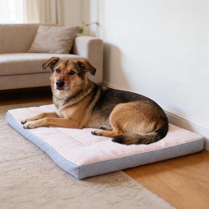 Dog Bed,pet Beds & Furniture,Machine-Washable Cushion for Dogs and Cats,Suitable for Dogs, Floor Furniture Use Pink M