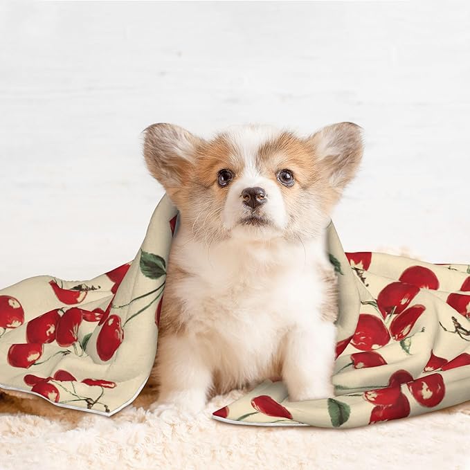 Waterproof Dog Blanket Soft Pet Blanket for Puppy Cat, Fleece Cat Throw Blankets for Furniture Bed Couch Sofa Reversible - Red Cherries 3