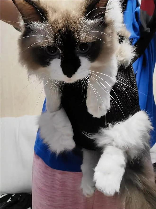 Pet Carrier Backpack - Adjustable Pet Front Cat Dog Carrier Backpack Travel Bag,Legs Out,Easy-Fit for Traveling Hiking Camping for Small Medium Dogs Cats Puppies. (Pink, Medium)