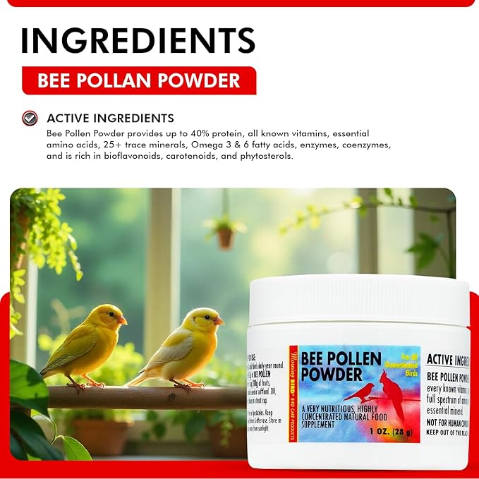 Morning Bird Bee Pollen Powder for Birds 1 Oz – Complete Nutrition with Protein, Amino Acids & Immune Support – Bird Vitamin & Mineral Supplement for Daily Health & Wellness