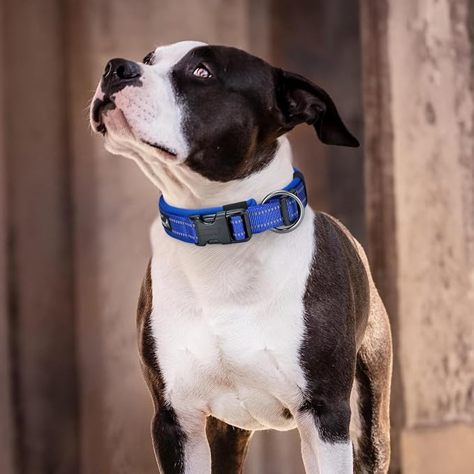 EXCELLENT ELITE SPANKER Reflective Dog Collar Classic Soft Padded Breathable Nylon Adjustable Pet Collar with Quick Release Buckle for Boy Girl Male Female Small Medium Large Dogs Training(Blue-XL)