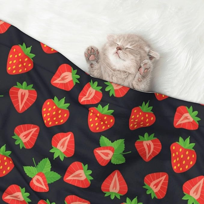 Reversible Dog Blanket for Beds Couches, Cute Red Strawberry Pattern Black, Double Sided Cat Blanket with Textured Dot Feel and Smooth Feel for Seasonal Comfort All Year