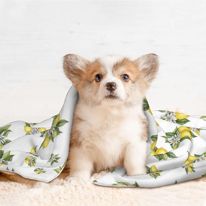 Reversible Plush Dot Pet Blanket for Dogs and Cats, Yellow Lemons Trees with Green Leaves and White Flower Summer Plant, Ultra Soft Two Sided Design with Warm Fuzzy Side and Smooth Side for Comfort