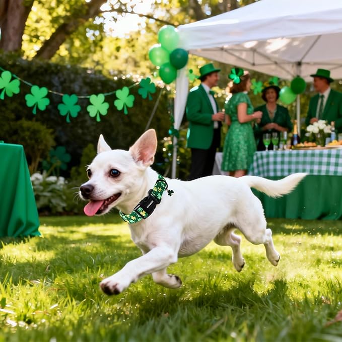 DOGWONG St Patrick's Day Dog Collar-Cute Green Clovers Dog Collars, Adjustable Shamrock Pet Collars Trefoil Puppy Collars with Quick Release Buckle for Girl&Boy Dogs,XS
