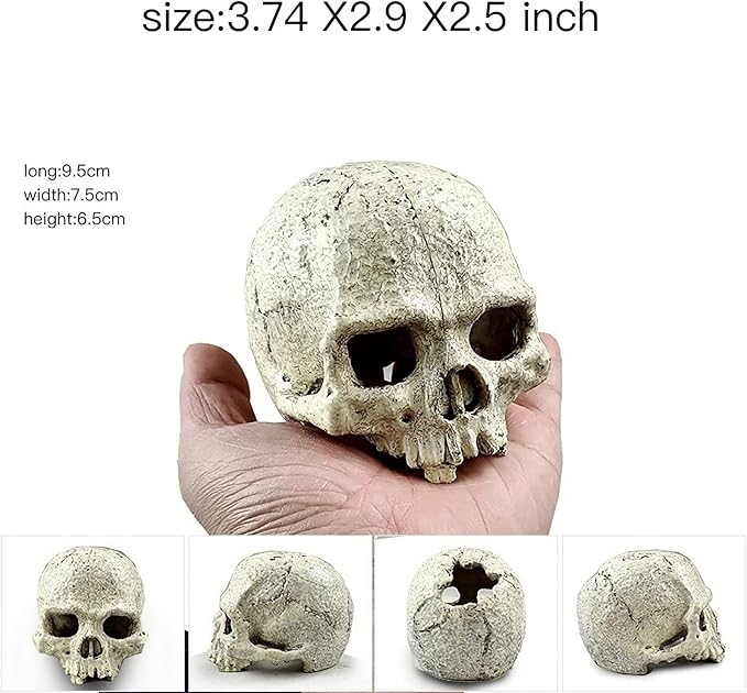 Desert Reptile Skull Fish Tank Decorations - Bearded Dragon Accessories, Snake Tank Decor (Human + Dinosaur)