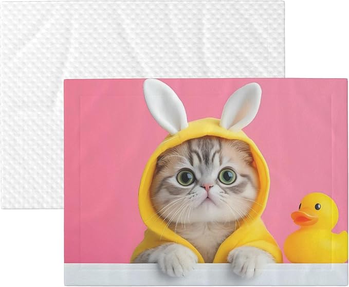 Waterproof Dog Blanket Soft Pet Blanket for Puppy, Fleece Cat Throw Blankets for Furniture Bed Couch Sofa Reversible - A Funny Cat