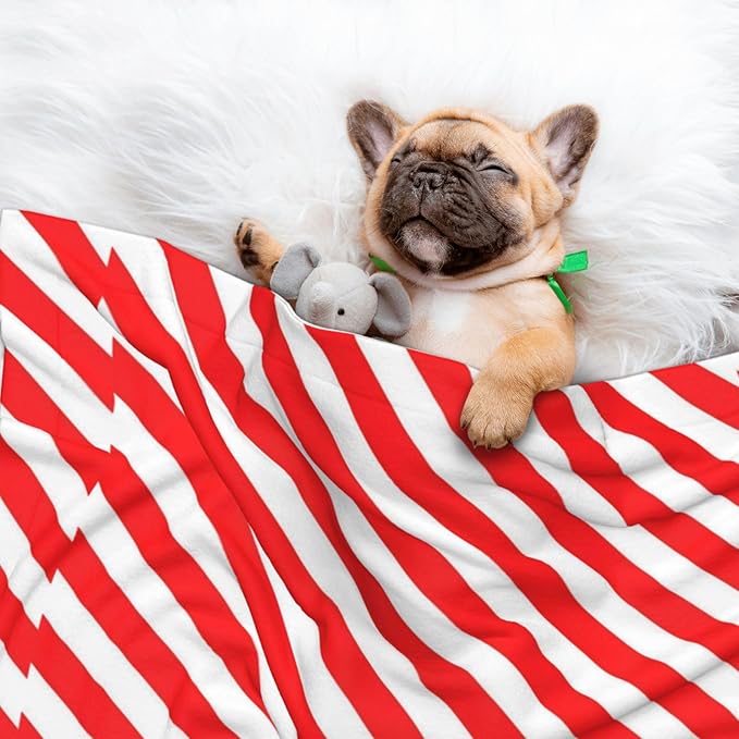 Two Sided Pet Cuddler Blanket for Anxiety Calming, Red White Stripes Christmas Candy Cane, Reversible Plush Design with Bubble Dot Pattern Provides Familiar Surface Anywhere