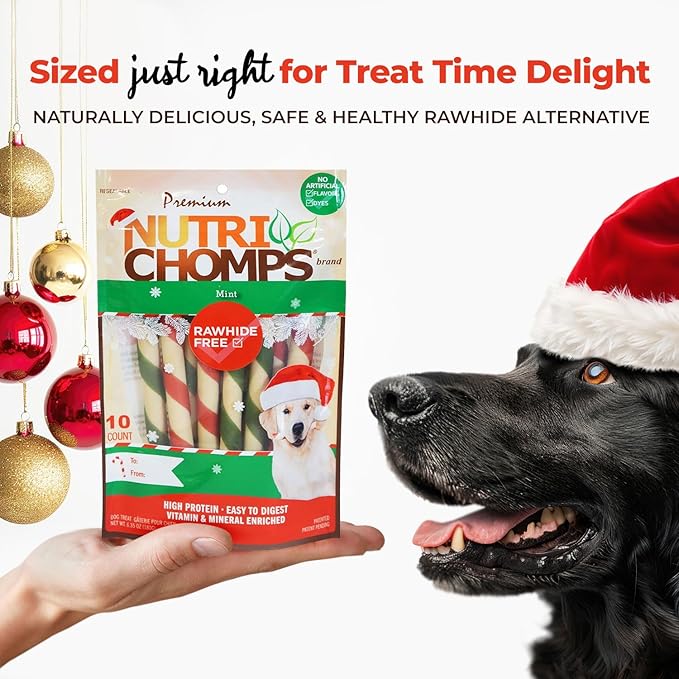 NutriChomps Dog Chews, 5 inch Twists, Mint Flavor, 10 Count, Easy to Digest, Rawhide Free, Holiday Stocking Stuffer Treats, Christmas Gift for Dogs