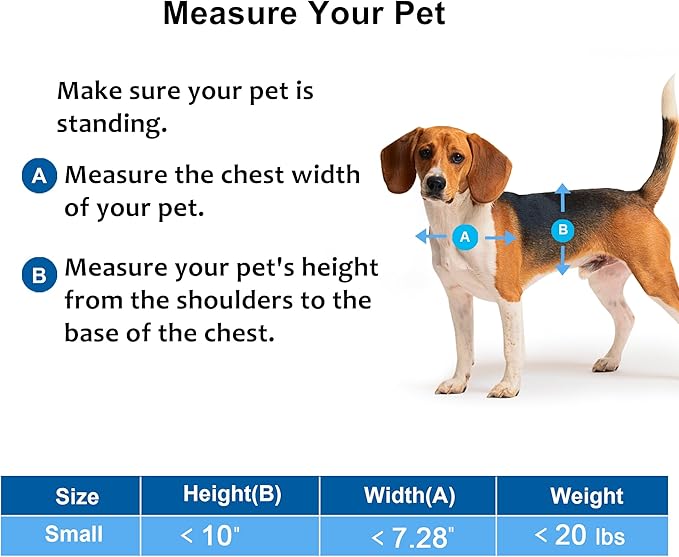 CEESC Dog Door for Pets Up to 20lb, Weatherproof Pet Door for Cats and Dogs, Durable, Snap-in Closing Panel Included, Suitable for Interior and Exterior Doors(Small Black)