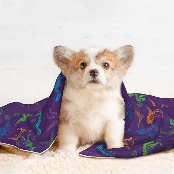 Dog and Cat Blanket in One, Cool Dinosaur Purple, Double Sided Plush Throw with Raised Dot Pattern on One Side and Flat Velvet on Other for Variety