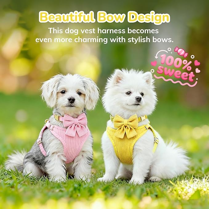 Small Dog Collar Harness and Leash Set, Dog Harness no Pull with Bowtie, Breathable Cotton Adjustable Pet Puppy Harness, Easy Walk Dog Harness, M(16-21")