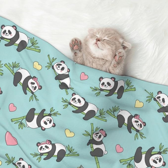 Pet Blanket for Couches and Beds, Chinese Cute Panda, Reversible Double Sided Plush Design with Soft Bumpy Texture and Smooth Surface, Furniture Protector