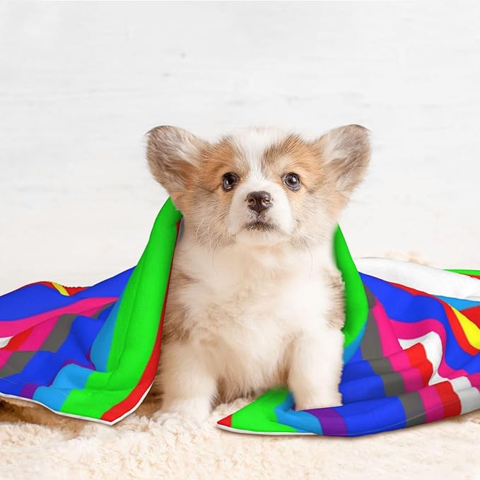Double Sided Plush Pet Blanket for Small Large Animals, Novel Colorful Mexican Blanket Stripes, Reversible Throw with Dimpled Dot Side and Flat Side for Kennels Living Rooms