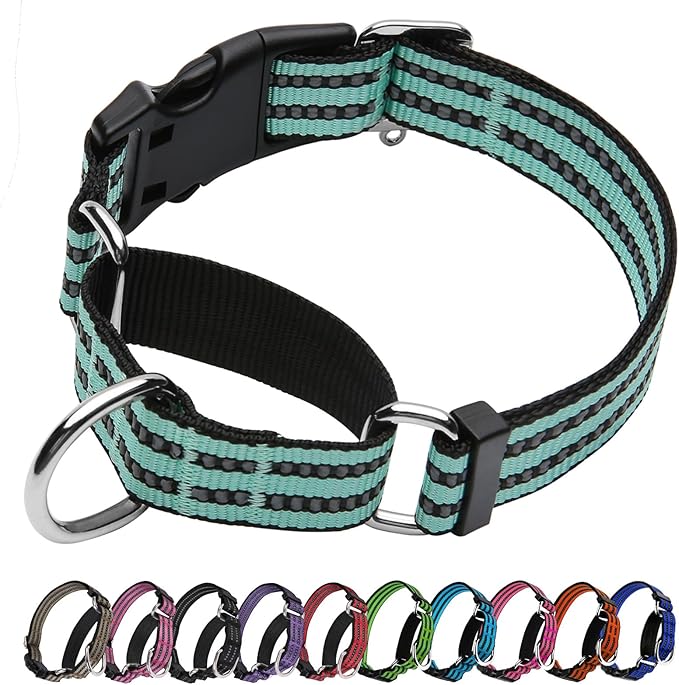 Martingale Dog Collar, Adjustable Nylon Reflective Collar with Quick Release Buckle (Apple Green, Medium)