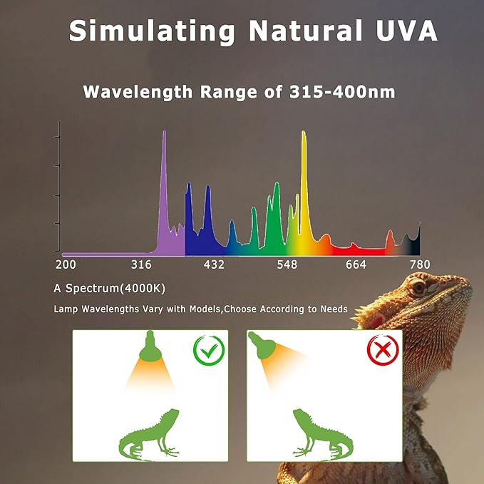 60W E26 Reptile Heat Lamp Bulbs, R63 Upgraded UVA Basking Spot Light for Bearded Dragon, Lizard, Tortoise & Amphibians - Simulated Natural Sunlight, Daylight Bulb fot Terrarium | 2 Pack