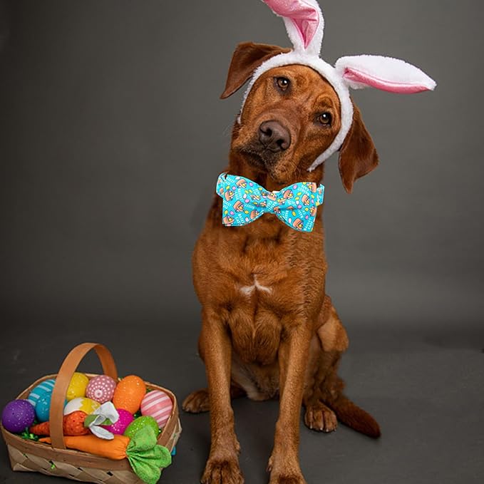Lionheart Glory Easter Dog Collar - X-Small, Bowtie Design, Colorful Spring Collar for Puppies