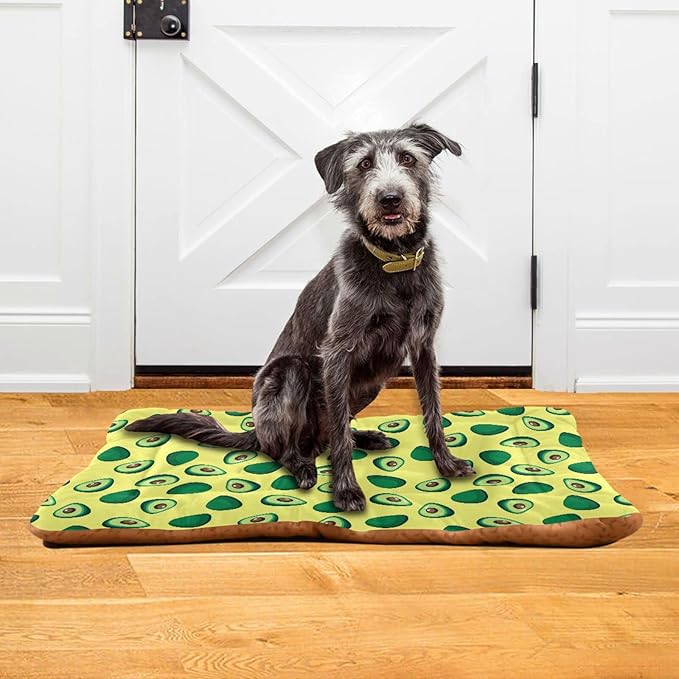 Pet Bed Yellow Avocado Dog Bed Mat Absorbing Non Slip Pad Pet Sleeping Mat for Small, Medium, and Large Dogs Puppy Cat 36 in x 24 in