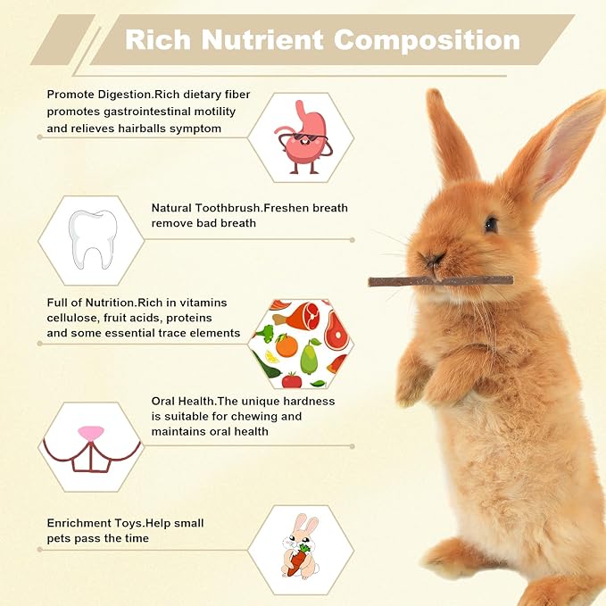 500g Organic Apple Sticks Small Animals Molar Wood Treats Chew Toys for Chinchillas Rabbits Guinea Pig Hamster Gerbil Parrot Bunny Chews Stick Toys