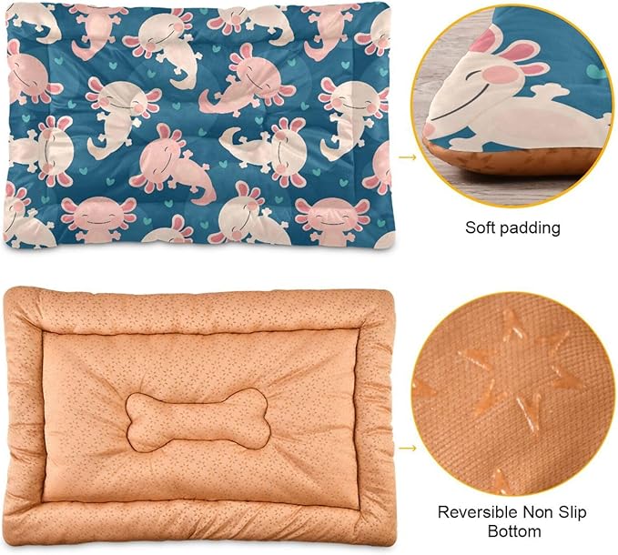 Pet Bed Cute Axolotl Dog Bed Mat Absorbing Non Slip Pad Pet Sleeping Mat for Small, Medium, and Large Dogs Puppy Cat 36 in x 24 in
