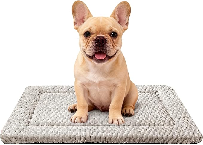 Dog Bed Mat - Soft Crate Pad for Kennel, Durable Pet Bed for Small Dogs & Cats - Comfort Support for Pet Crate, Cage, House