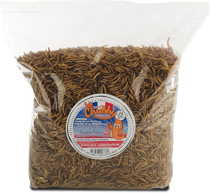 Chubby Dried Mealworms 6 Lbs - Grown in The EU - Non-GMO Mealworms for Chicken & Birds - Chicken Feed Treats for Laying Hens (6 Lb)
