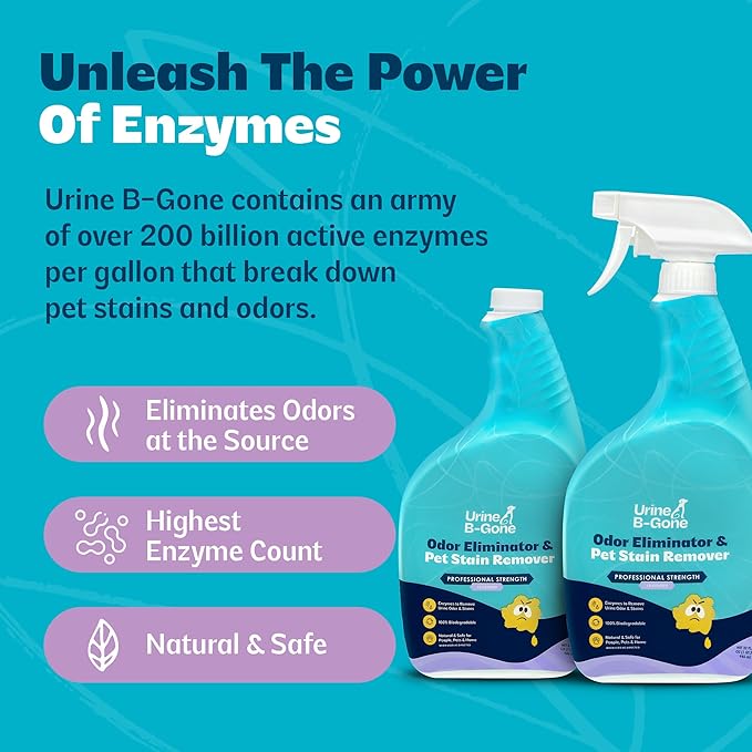 Urine B-Gone, Professional Enzyme Odor Eliminator & Pet Stain Remover, Human, Cat & Dog Urine Cleaner, Effective on Laundry, Carpets & More, Lavender Scent, 32oz, Pack of Two