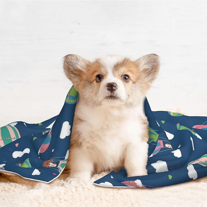 Double Sided Plush Pet Blanket with Cozy Dot Texture and Smooth Reverse, Dachshund Hot Air Balloon Dogs, Reversible Throw for Dogs Cats on Couches Beds Crates