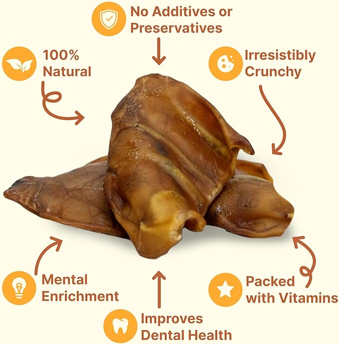 Gaines Pet Pig Ears for Dogs – 100 Pack, All-Natural Whole Ears – No Additives or Hormones, Rawhide Alternative, Supports Dental Health, Easily Digestible Treat for Small to Large Dogs