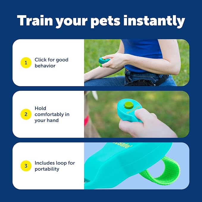 PetSafe Clik-R Training Tool - Positive Behavior Reinforcement - Ergonomic Design - Compact Finger Band - Daily Training Accessory - Clicker for Dogs & Cats - Teal