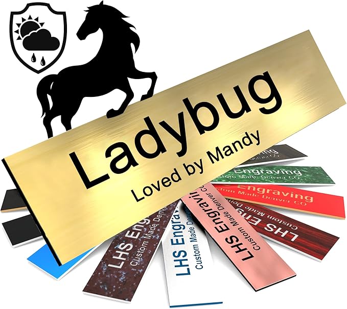 Horse Stall Name Plate, 2x8 Personalized Stall Signs, UV Protected, All Weather Adhesive, Hanging, Mounting or Other, Brushed Brass Plastic Black Letters - Made in USA - M6