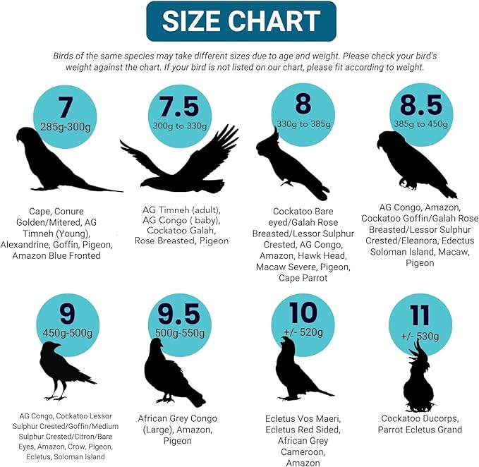 Bev's Bird Boutique Regular Flyper Adjustable Bird Diaper | Reusable, Washable Cloth | Comfort Fit for Parrot, Cockatiels, & Other Small Birds | Fashionable Avian Accessories, Retro Tux, Size 9