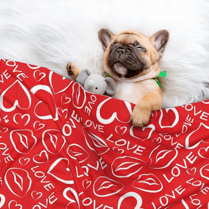 Reversible Dog Blanket for Beds Couches, Abstract Seamless Love Pattern Valentines Day, Double Sided Cat Blanket with Textured Dot Feel and Smooth Feel for Seasonal Comfort All Year