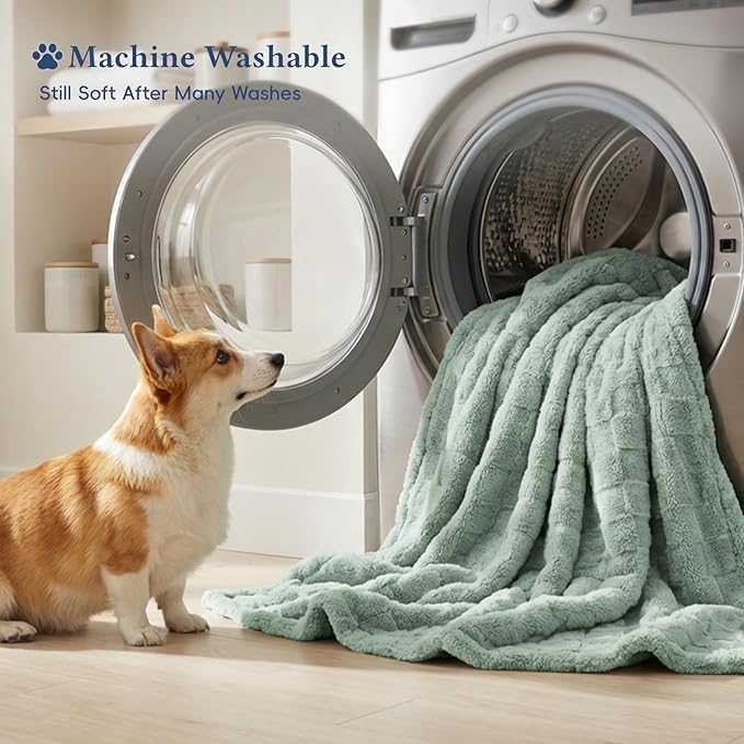 David's Home Large Dog Blankets Washable Pet Bed Cover, Soft Fluffy Fuzzy Cat Puppy Blanket with Premium 300GSM Fleece for Pet Kitten Doggy, Aqua Gray, 50x60IN